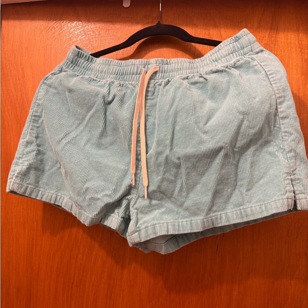 PacSun Light Blue Athletic Shorts